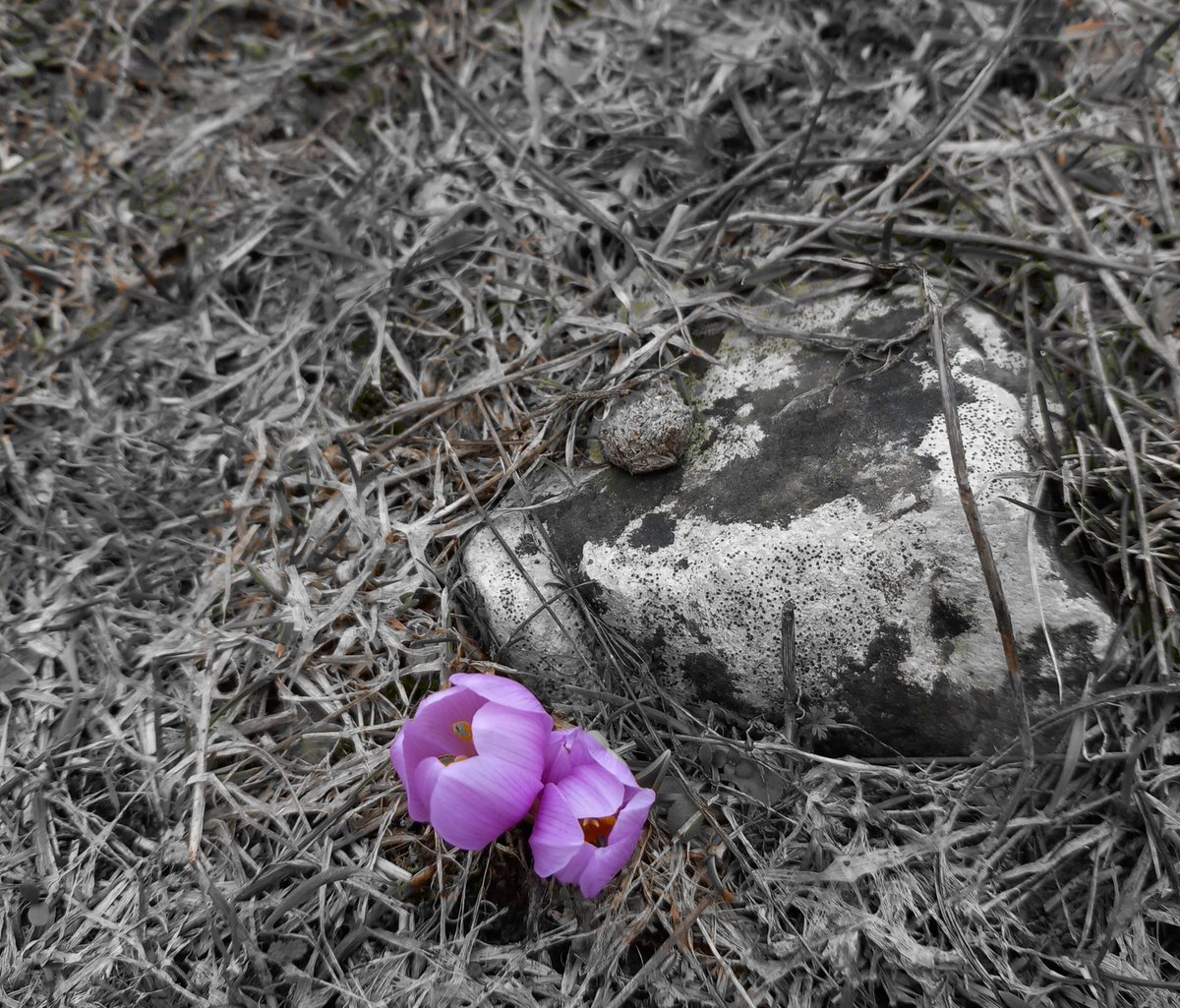 semakdnz ☀️ tweet media