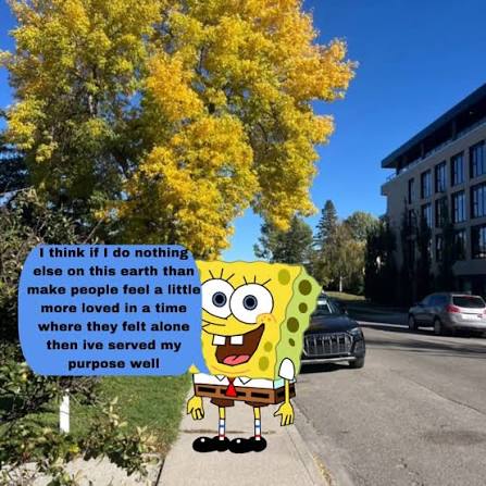 Sponge ! tweet media