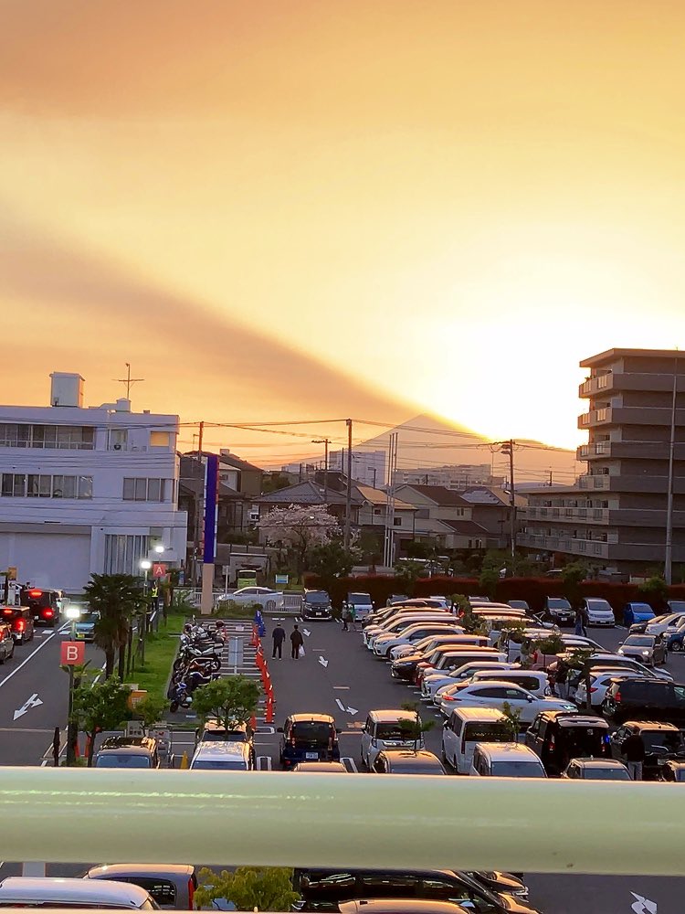 白石 ゆきほ tweet media