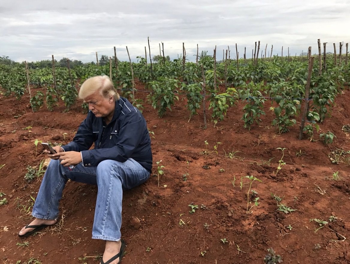 Mat Kadam tweet media