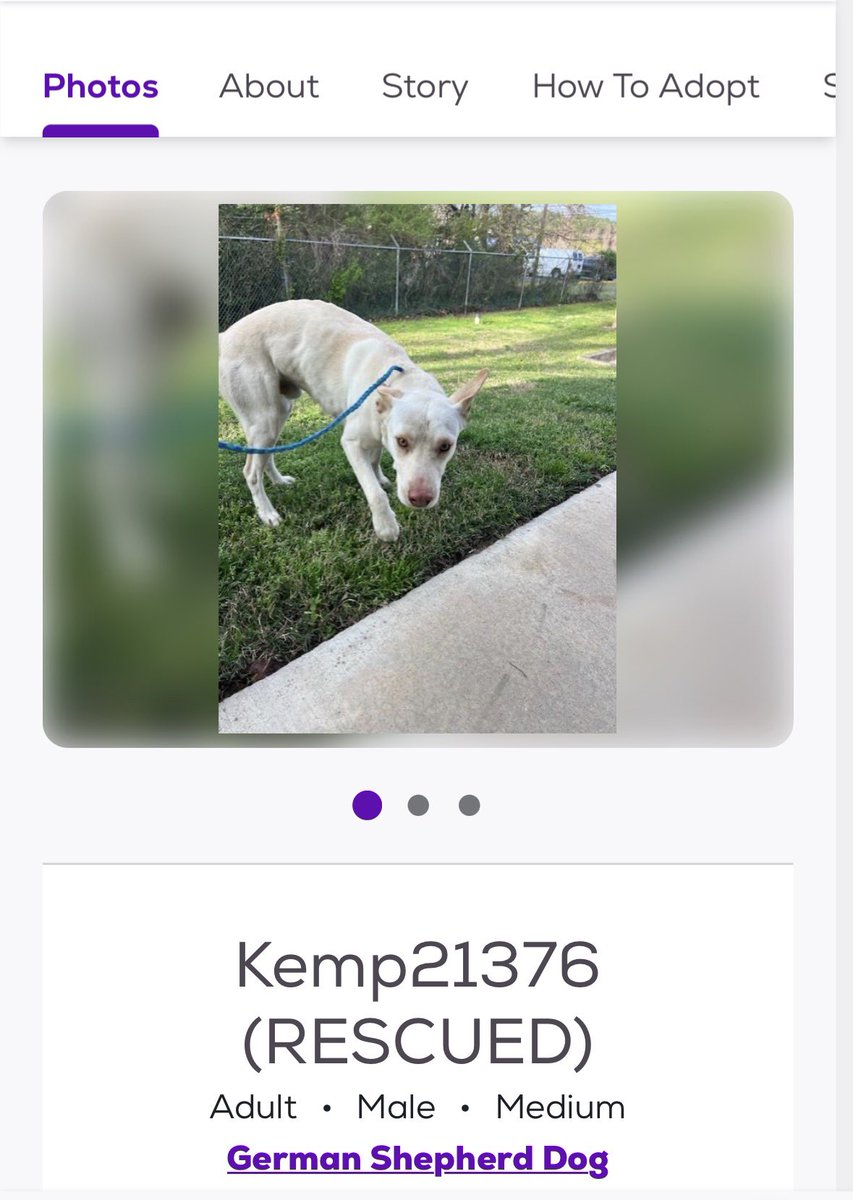 Donna Lac tweet media