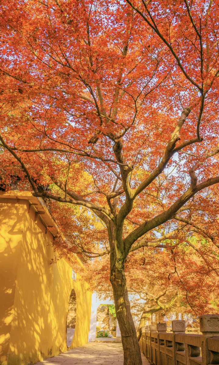 ̶O̶M̶A̶I̶M̶A̶H̶🕊 tweet media