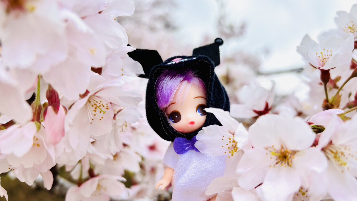 🧚‍♂️妖精の箱庭@颯(そう) tweet media