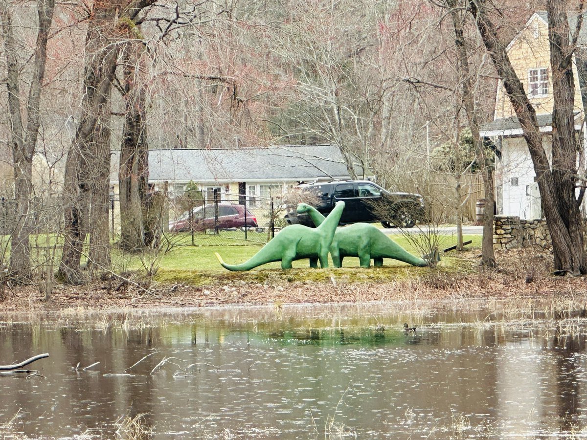 Mary Elaine Leach tweet media