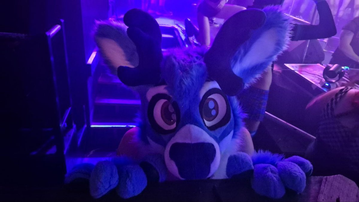 Charlie Deer tweet media