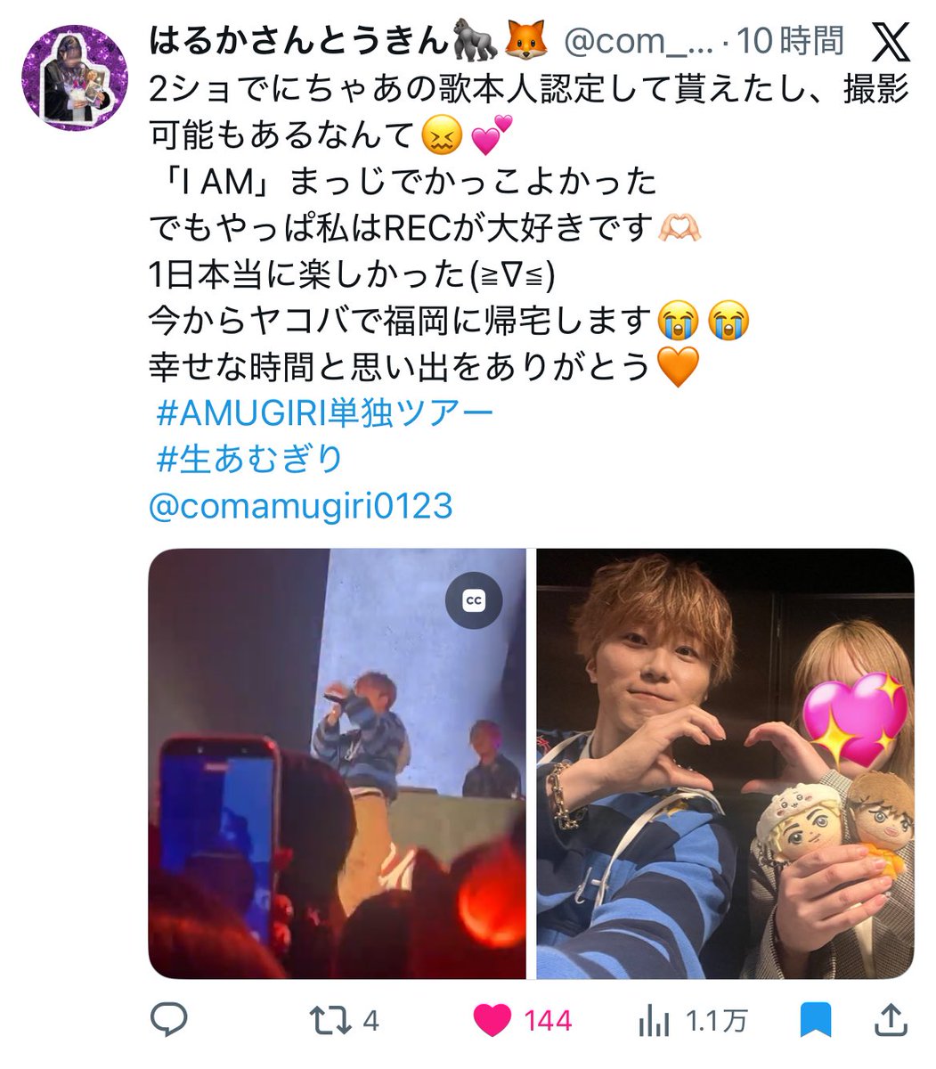 はるかさんとうきん🦍🦊 tweet media