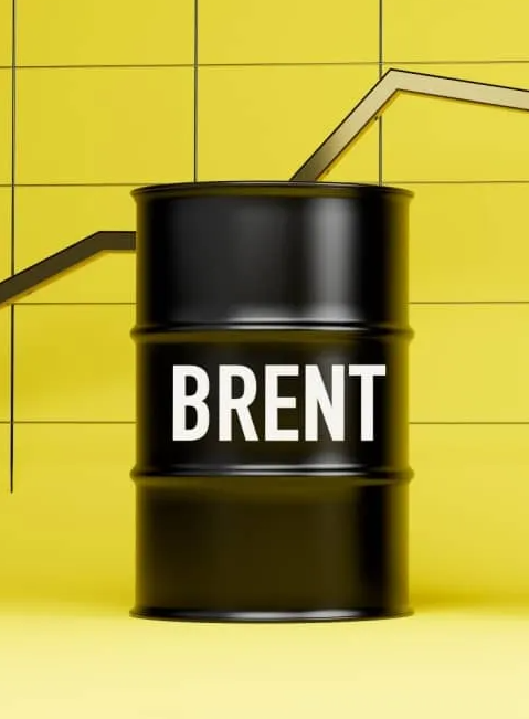 إياد الحمود tweet media