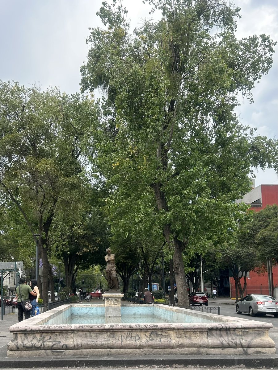 ሪሻን tweet media