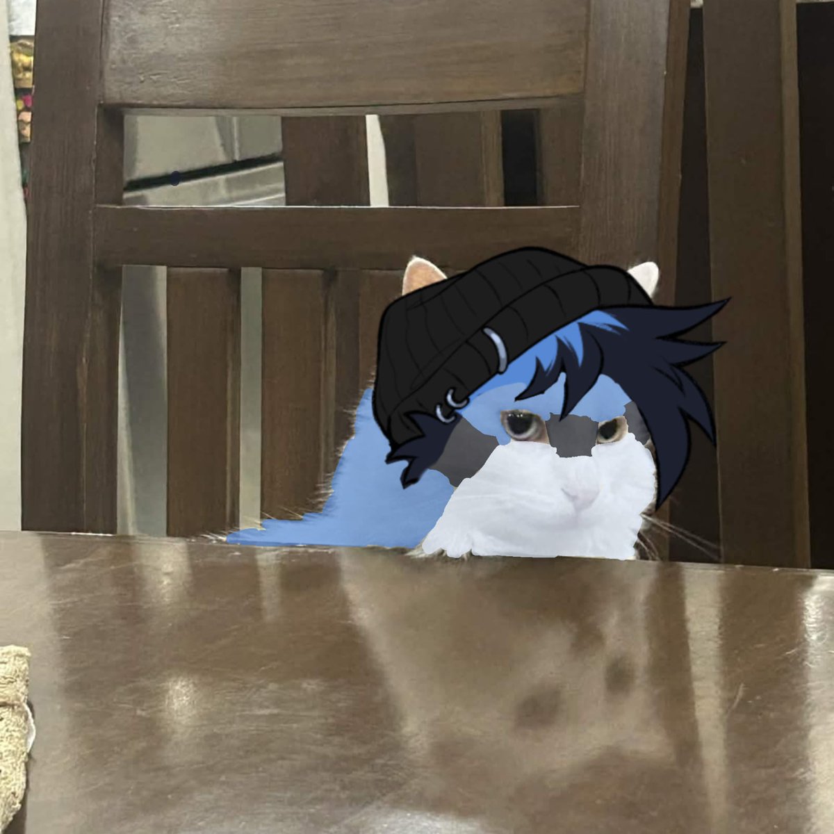 d4ilyartemis's tweet image. Day 10 until Artemis Day 4!!!

I'm a cat searching for a cachorro bobo