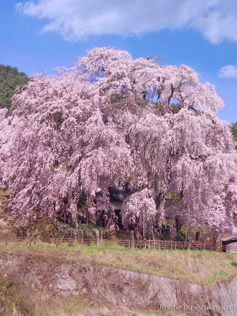 小豆餅乃Another Room tweet media