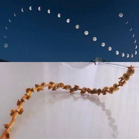 zāād al-Ma’aād tweet media