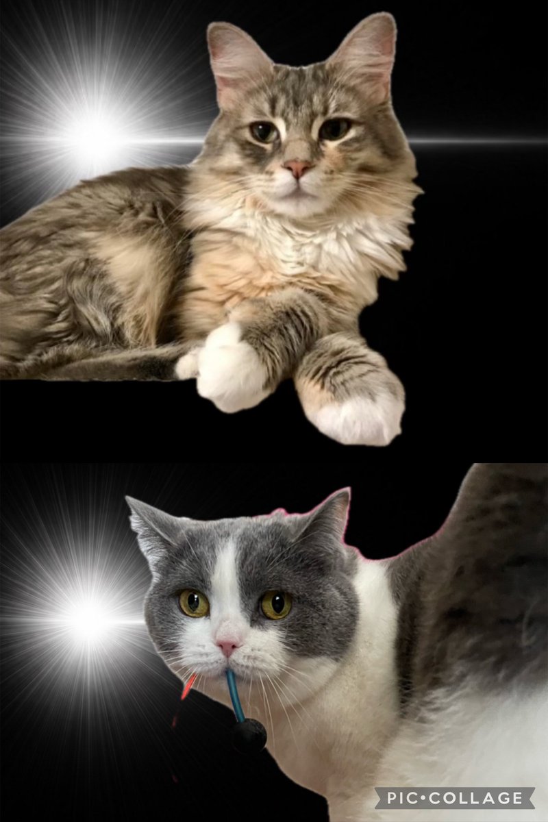 ユーフォ🍀編み物作家🧶 tweet media