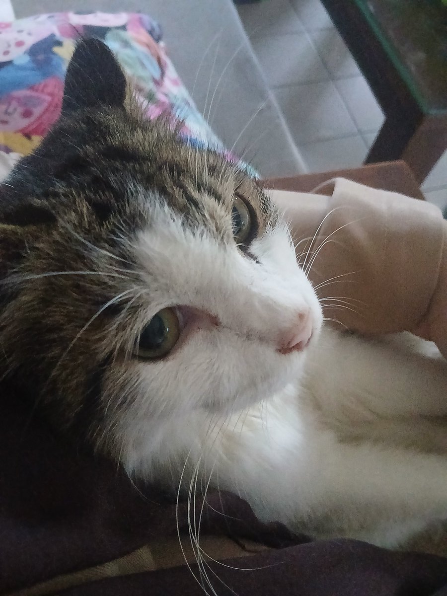 suy²⁶ tweet media