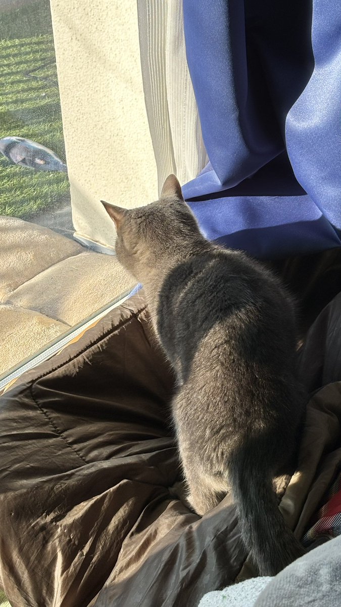 ササキオーモリ tweet media