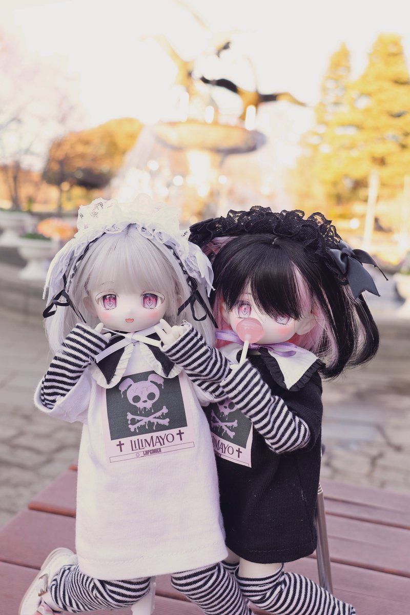 たいにーあざらし tweet media