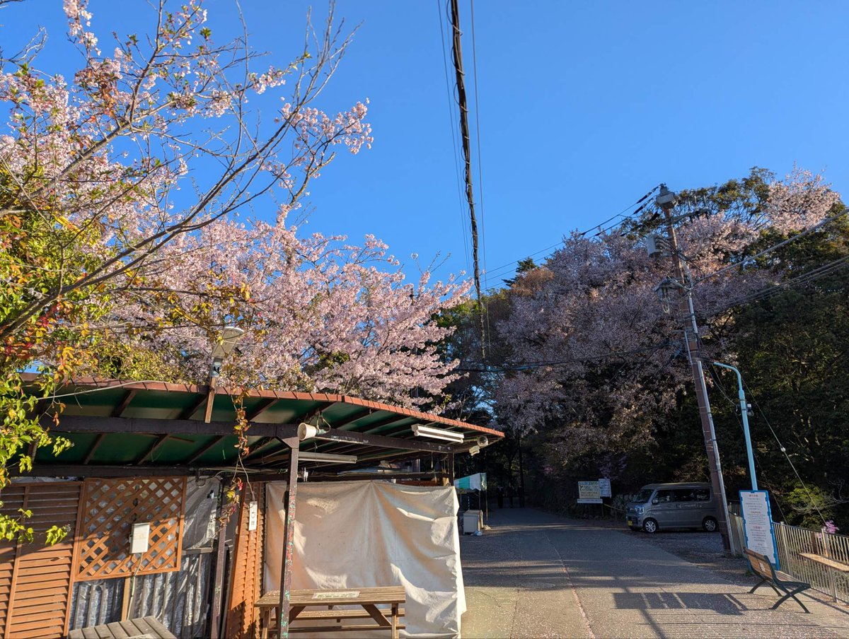 Takao_Tozan's tweet image. おはようございます。
午前９時現在、高尾山麓、ケーブルカー清滝駅、高尾山 駅の天気は「晴」、気温は「12度」です。
ケーブルカー、リフトともに通常通り運行しています。 #高尾山 #ケーブルカー #リフト