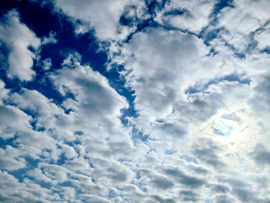 miiiii🍮 tweet media