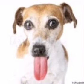 kou ⚧︎ ele/delu tweet media