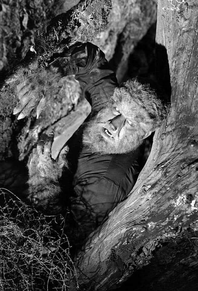 Classic Horror Films tweet media