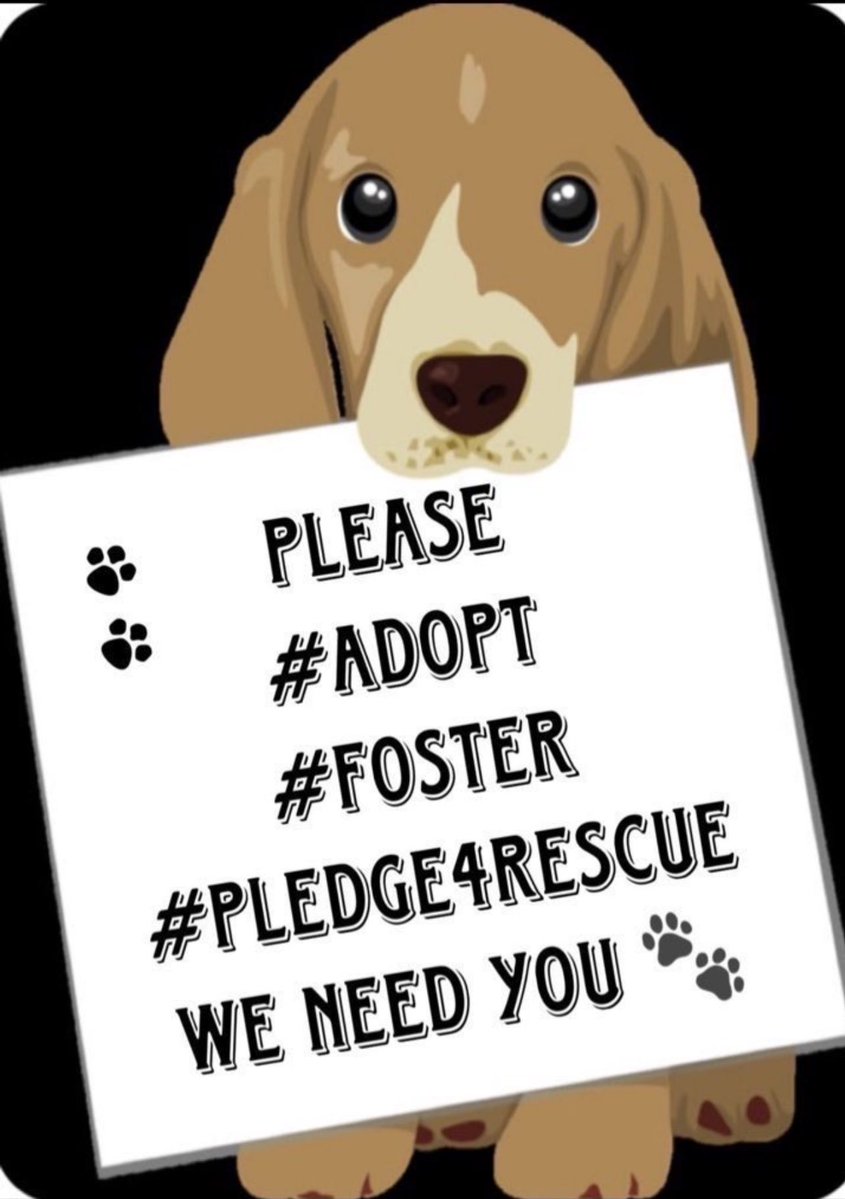 Quinn 💛(G.Quinn Rogers) tweet media