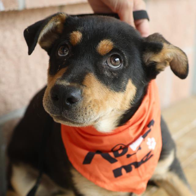 Aurora ⸆⸉ misses Liam ❯❯❯❯ tweet media