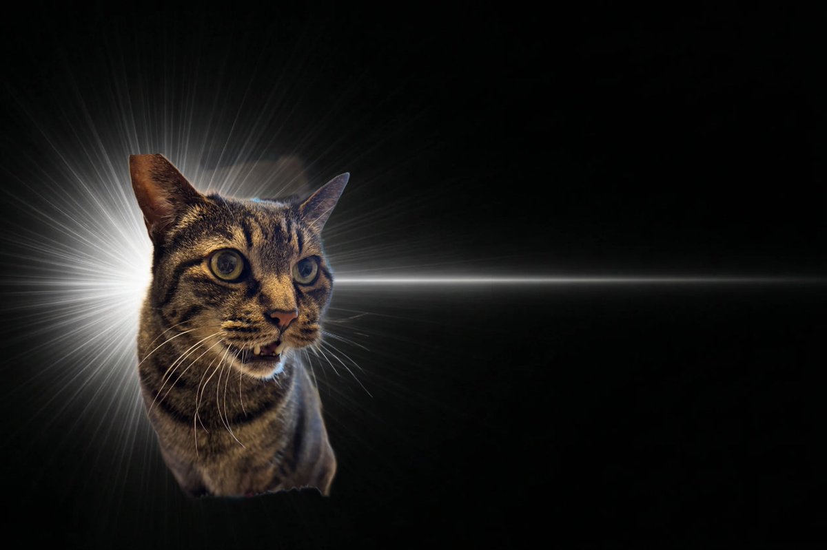 ササキオーモリ tweet media