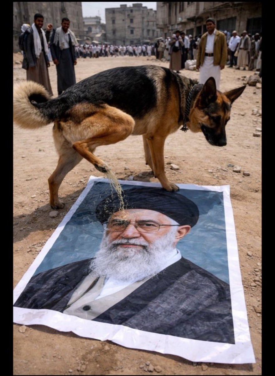 سـيف🗡️ tweet media