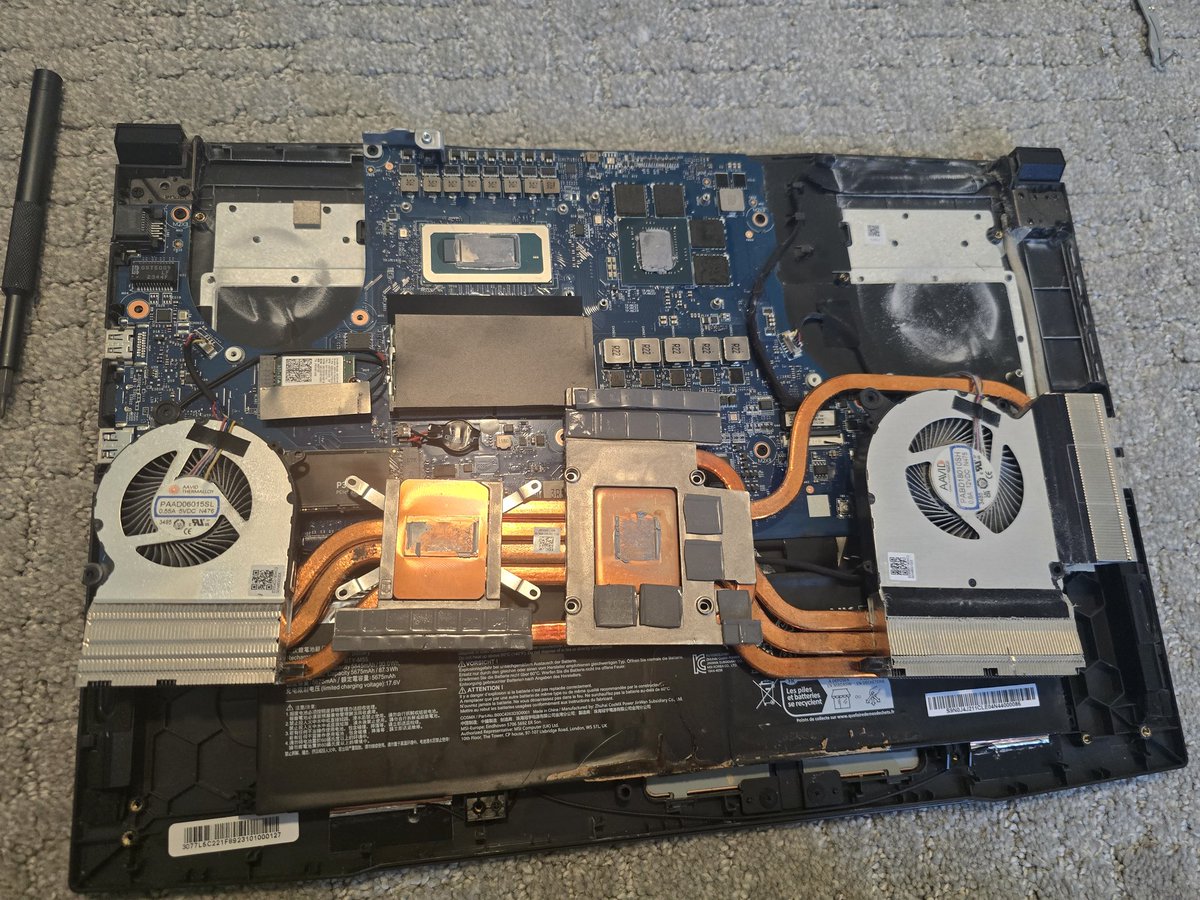 아메코 tweet media