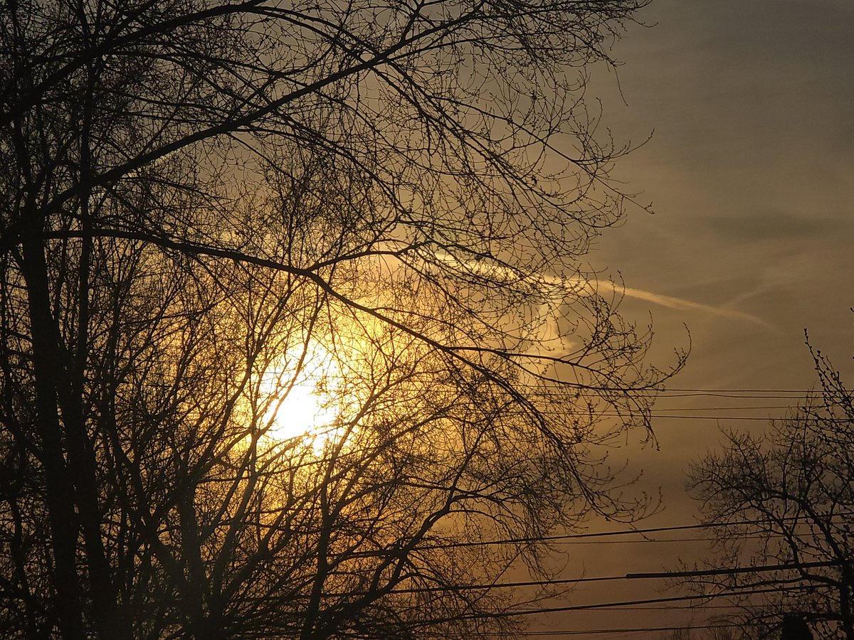 Jesse Lynn♥️ tweet media