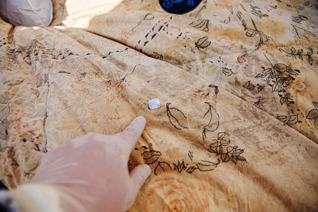 Site Man Pro tweet media