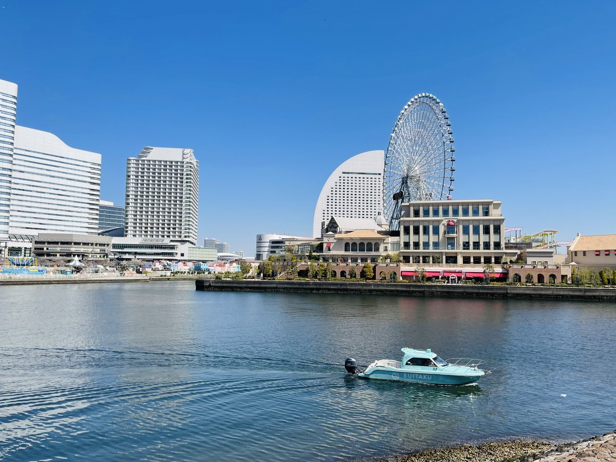 なつき🌿モカ🐾 tweet media