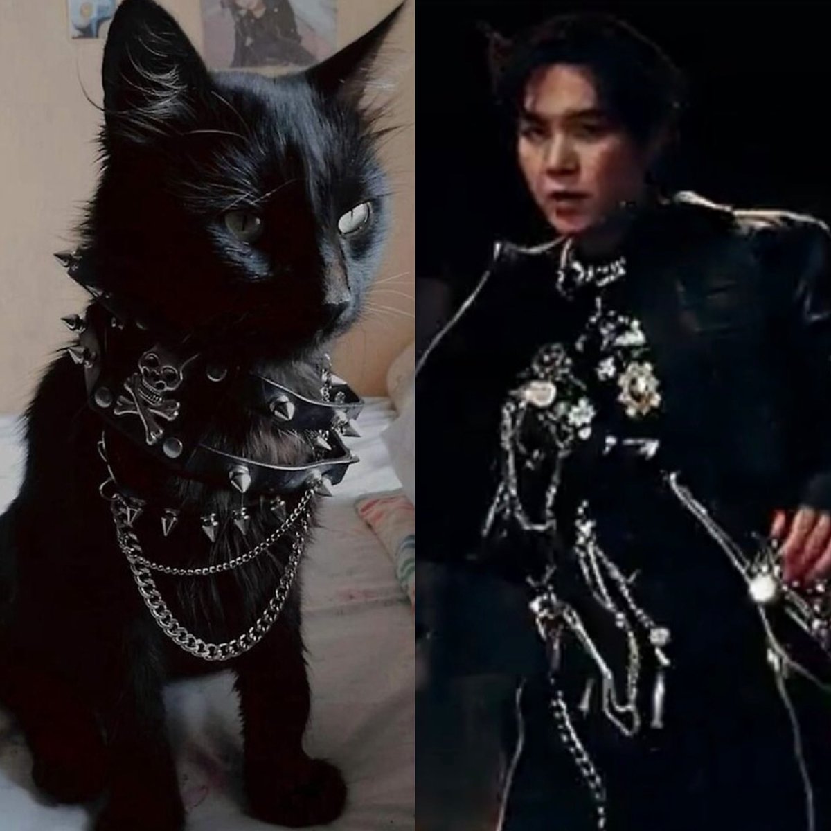 •💜ʀᴏsᴇ⁷🥃🥢ᓚᕠᗢ• tweet media