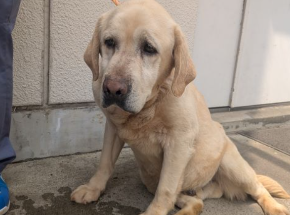 くるみmama tweet media