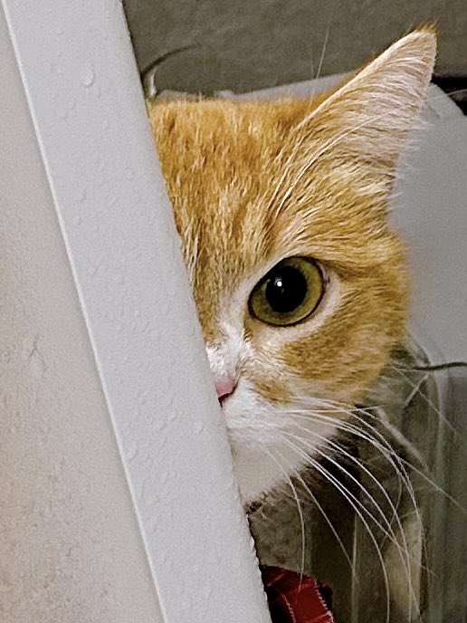 も&もちもな tweet media