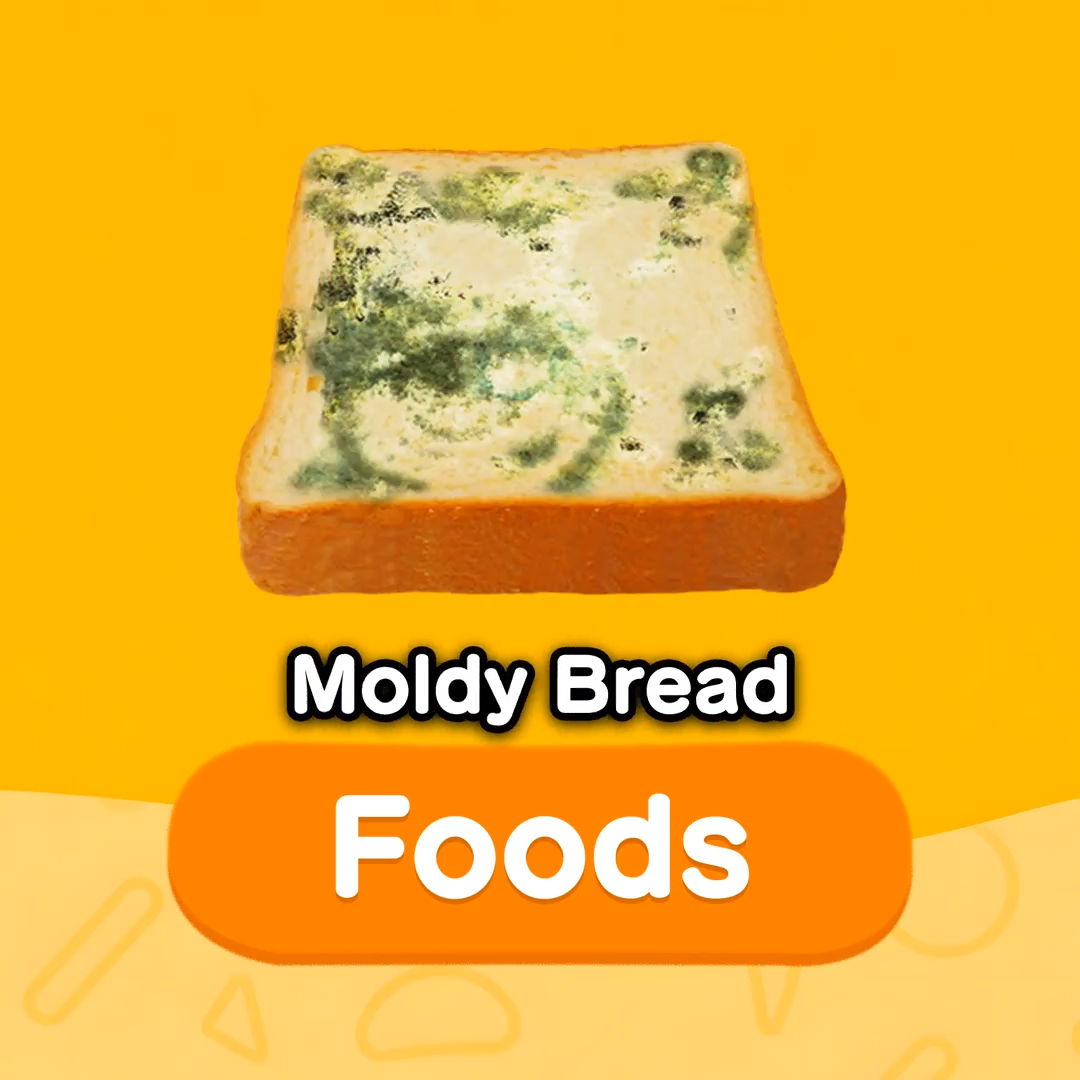 bONGO 🏝️ tweet media