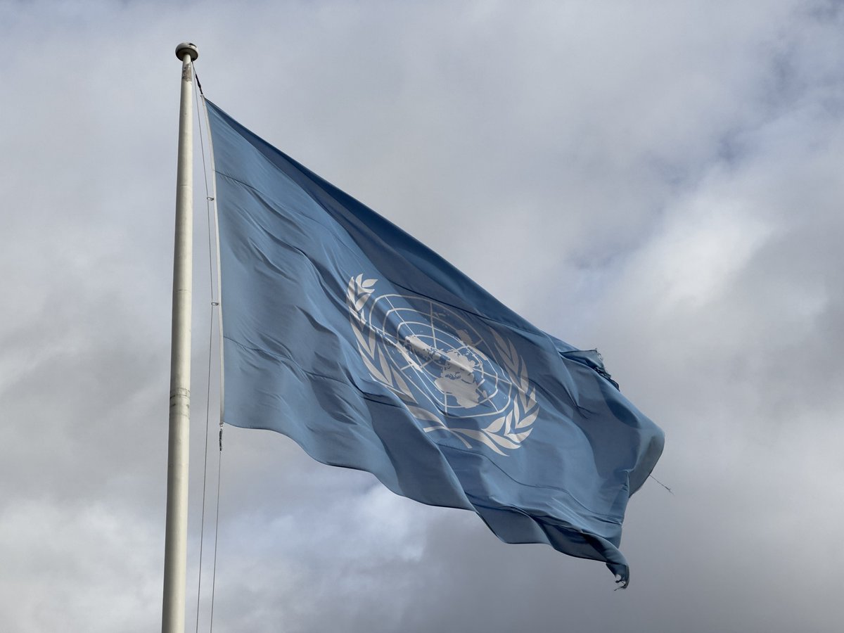 Democratic Shiomi Yoru (D-HS) 🇺🇳🇹🇼🇺🇦🇵🇸🇦🇲 tweet media