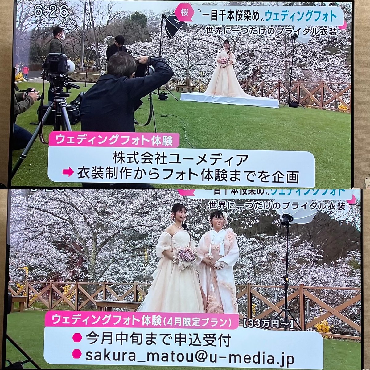 nekonatsuko's tweet photo. 昨日のkhb5チャージの録画☺️🌸
一目千本桜で染めたドレスや着物を着てウエディングフォトを撮影出来る企画の発表会、優しくて綺麗な色で本当に桜をまとっている様な感じで素敵🌸 #一目千本桜
#桜染め #花見 #ウエディング #船岡城址公園 #khb5 https://t.co/DCXDigT43k
