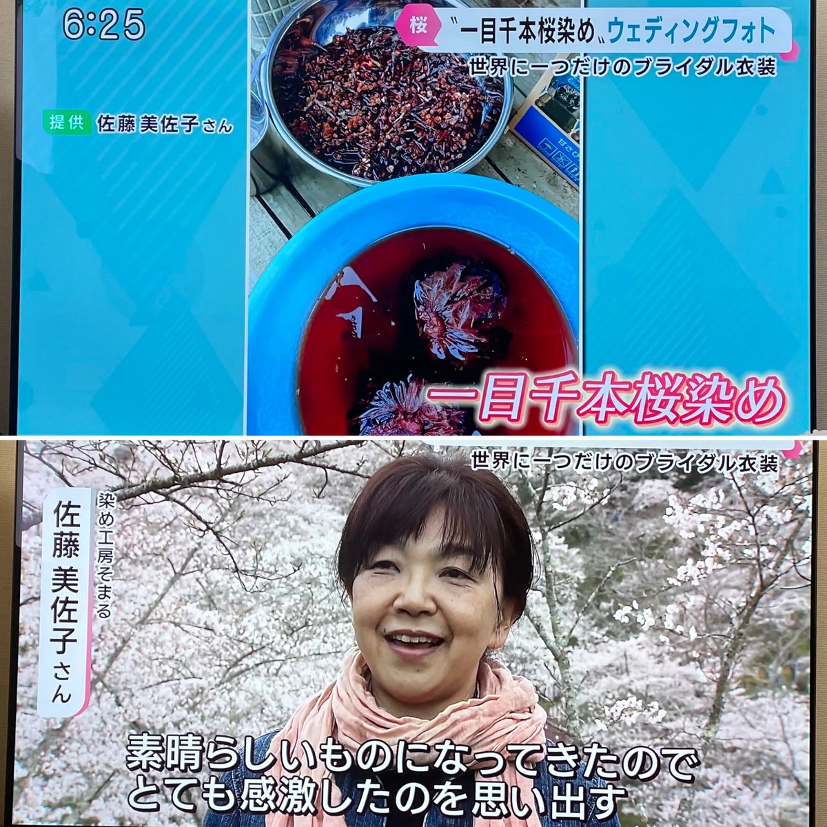 nekonatsuko's tweet photo. 昨日のkhb5チャージの録画☺️🌸
一目千本桜で染めたドレスや着物を着てウエディングフォトを撮影出来る企画の発表会、優しくて綺麗な色で本当に桜をまとっている様な感じで素敵🌸 #一目千本桜
#桜染め #花見 #ウエディング #船岡城址公園 #khb5 https://t.co/DCXDigT43k