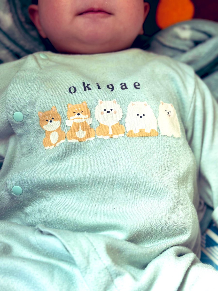 🐺あとり玲🐰Skeb募 tweet media