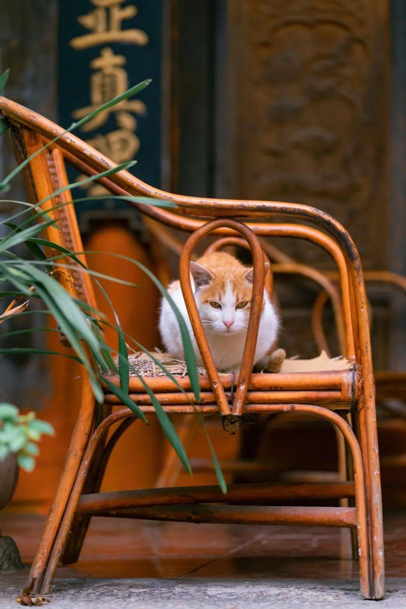 노창완 tweet media