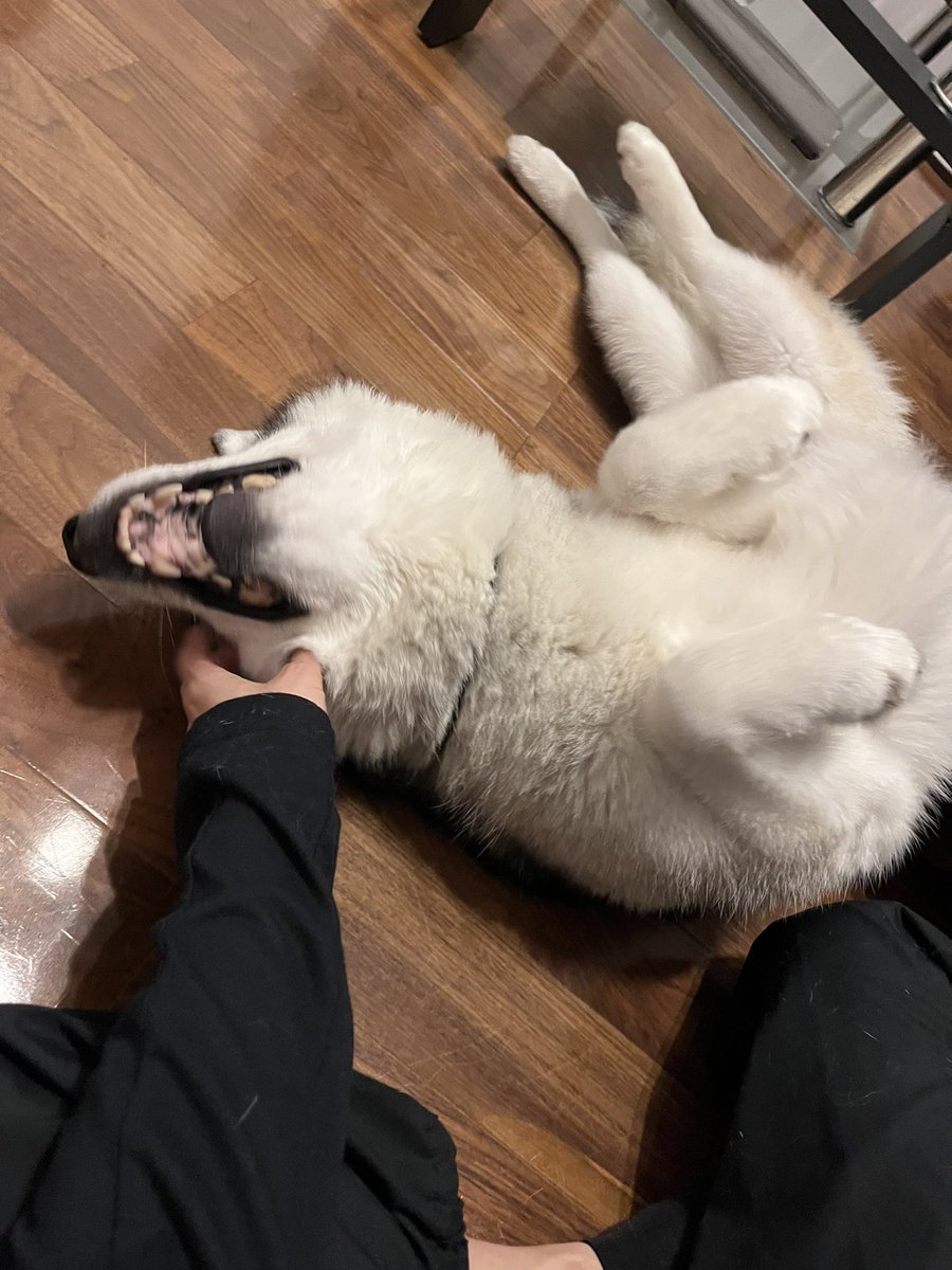 帰宅を祝う儀式