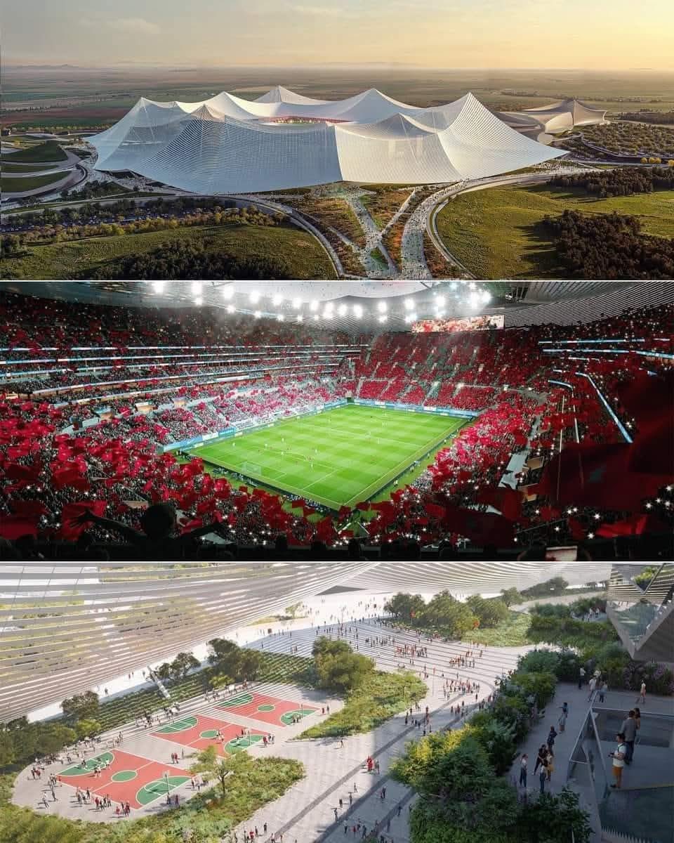 FRMF Xtra tweet media