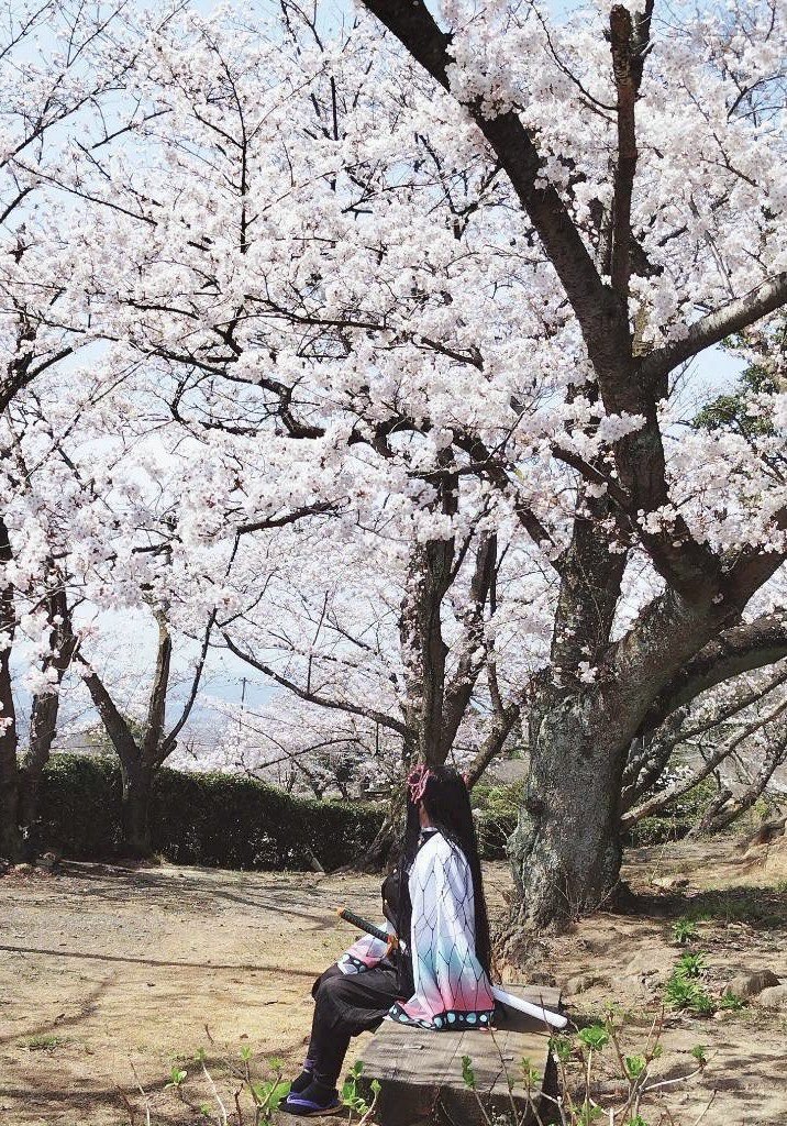 ちっぷ tweet media