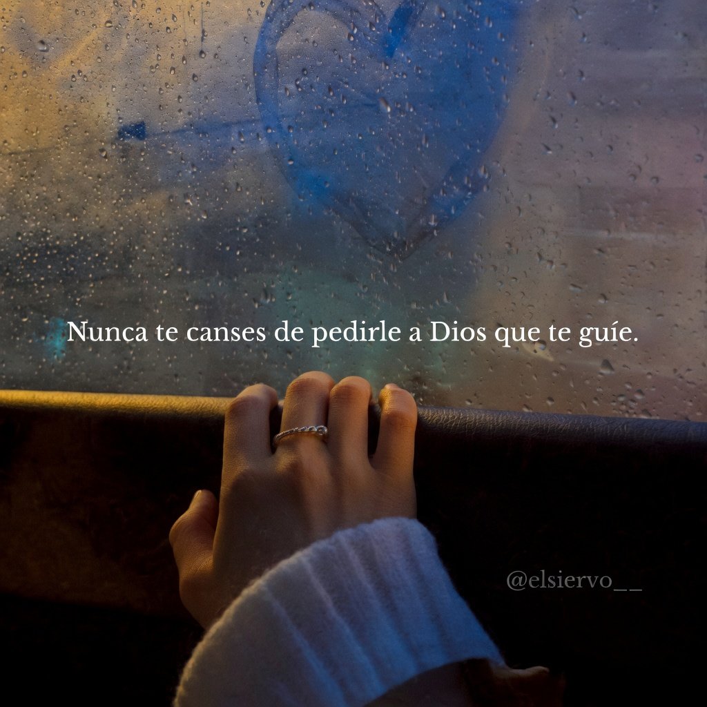 el Siervo (@elsiervo__) on Twitter photo 