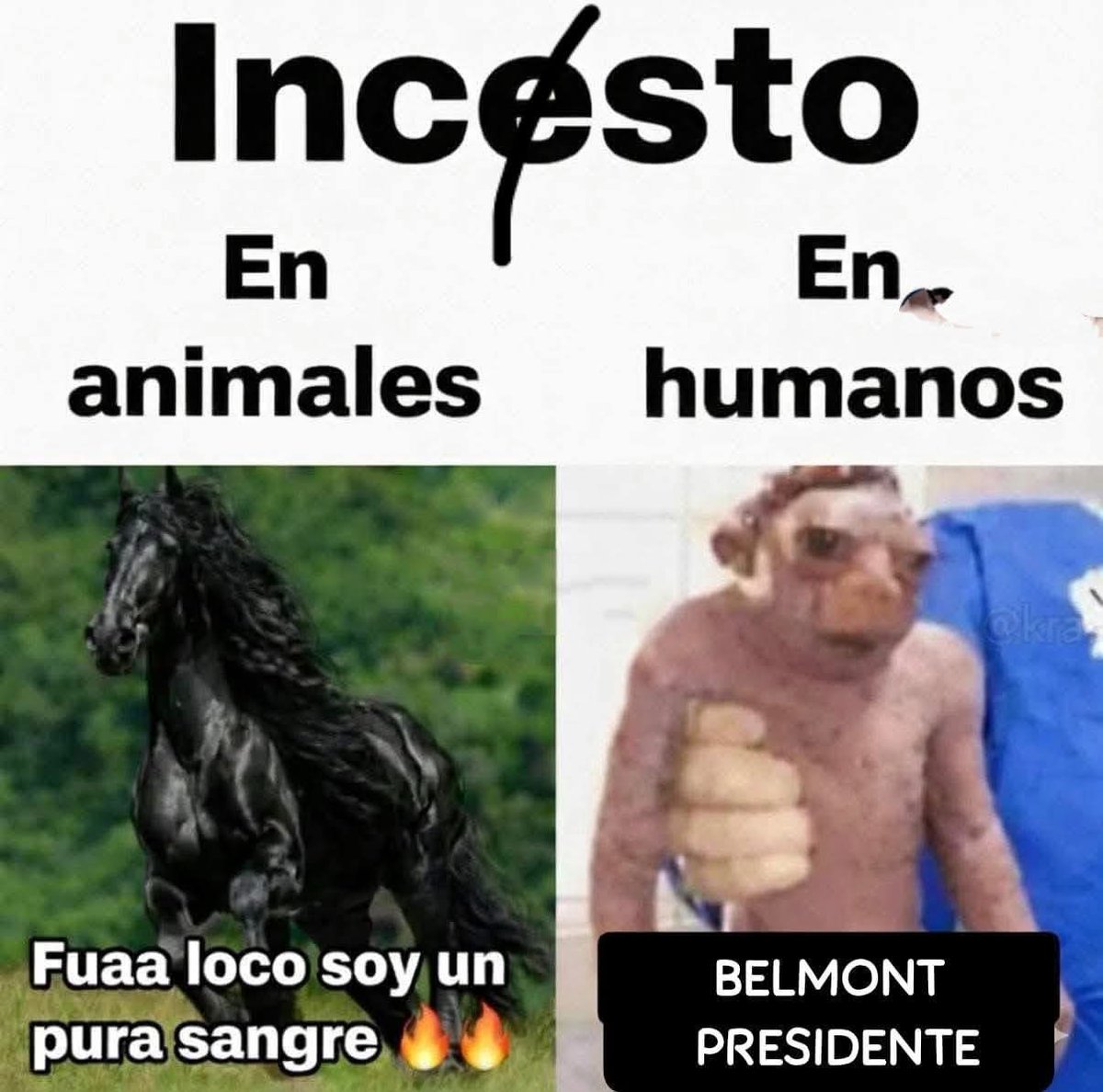 Jigglypuff tweet media