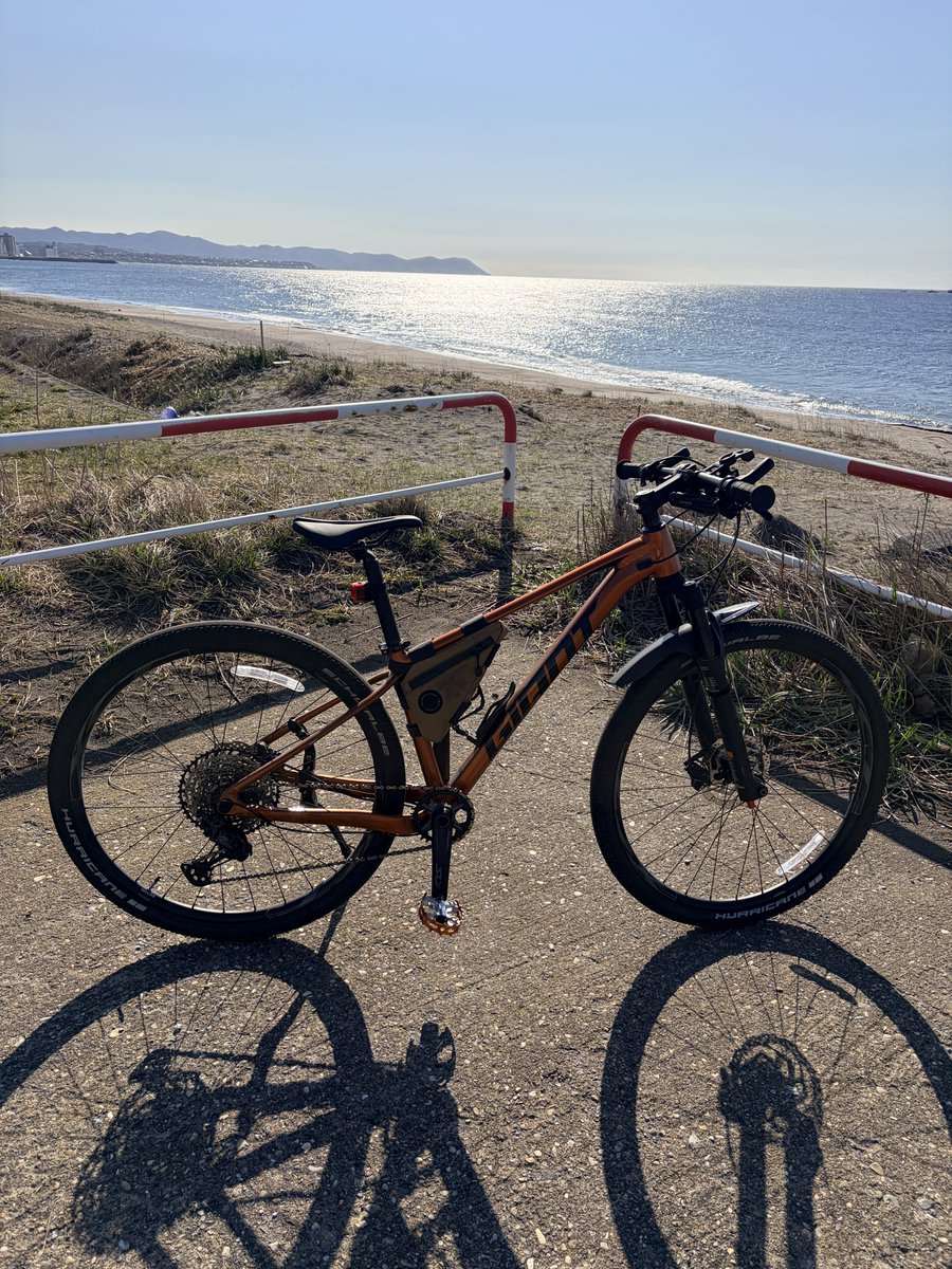 pikacycling@ tweet media