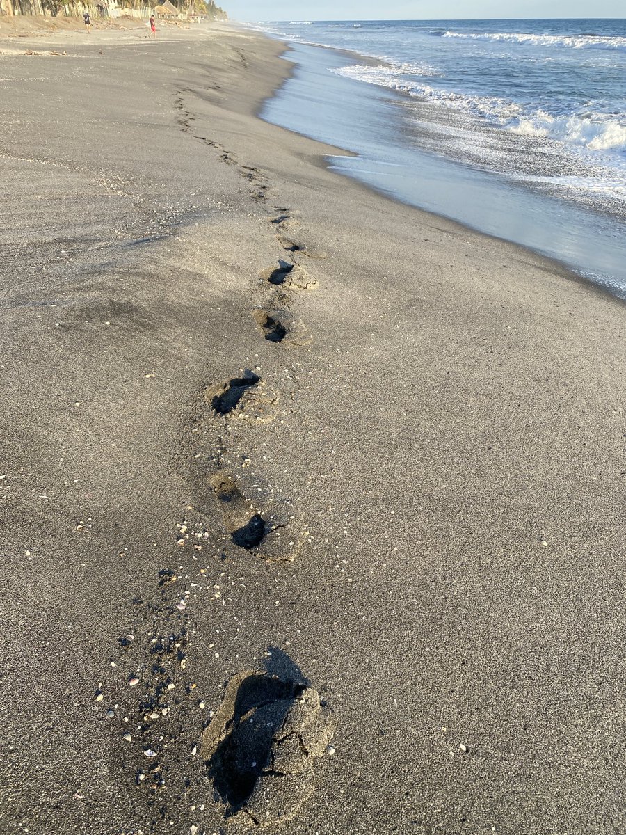 Kirk’s Proof of Work tweet media