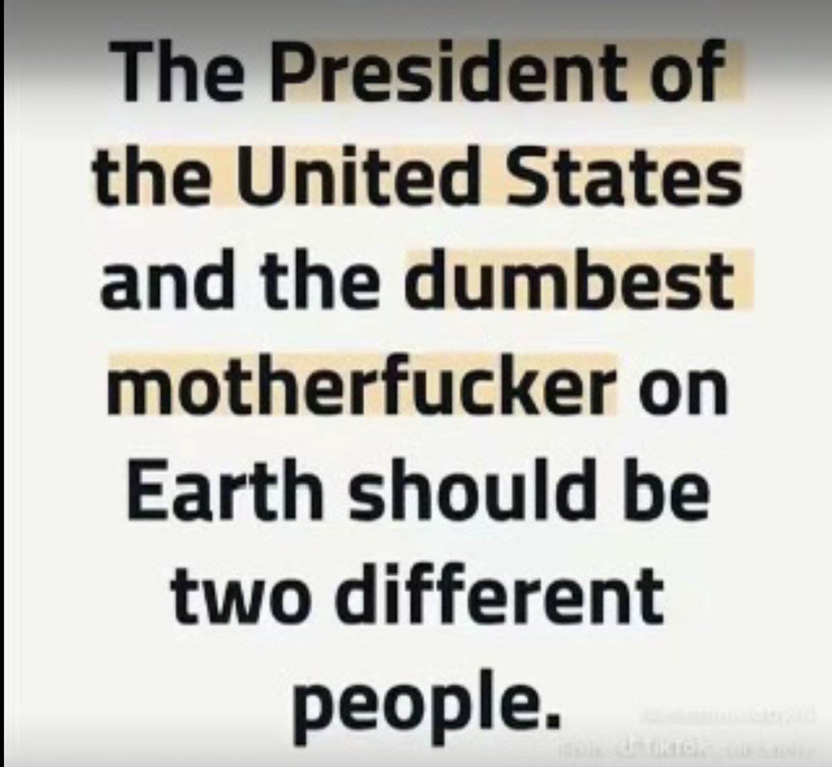 LilyB 🇨🇦 tweet media