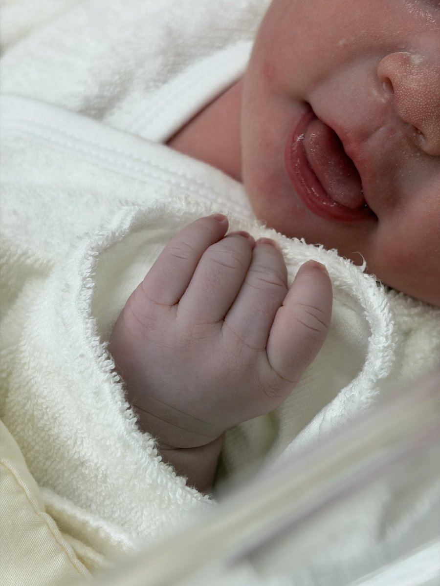 Azusa🎀 ロリマナ｜ロリィタ×テーブルマナー tweet media