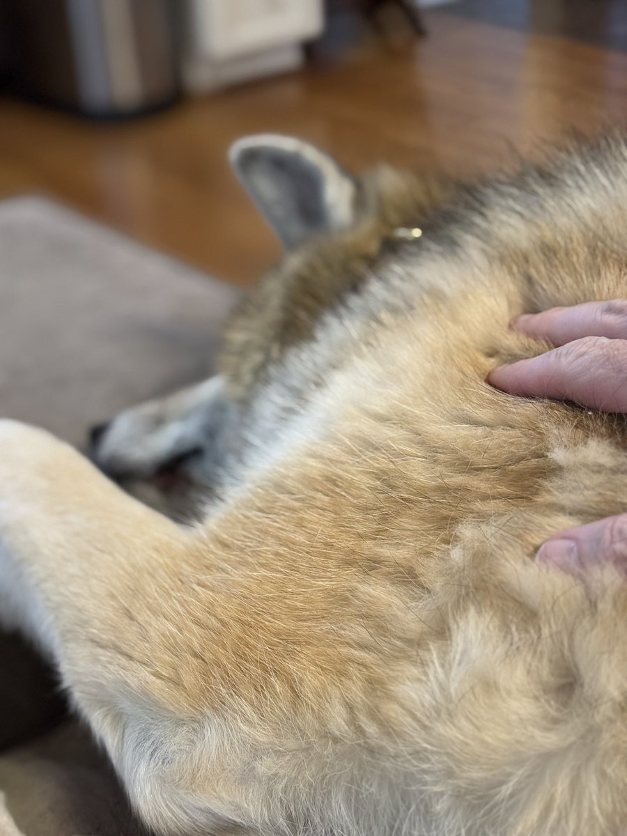 Jonah Goldberg tweet media